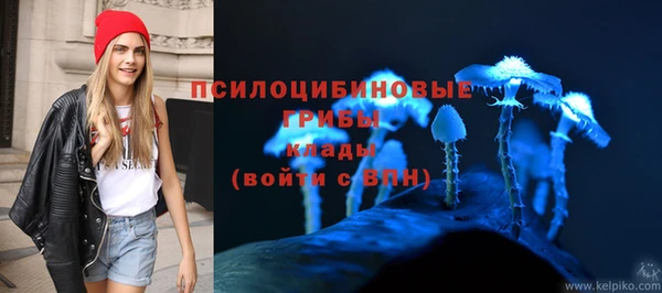 спайс Пролетарск
