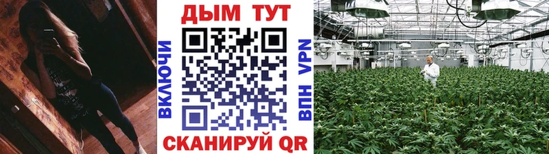 площадка как зайти Кропоткин Шишки марихуана марихуана